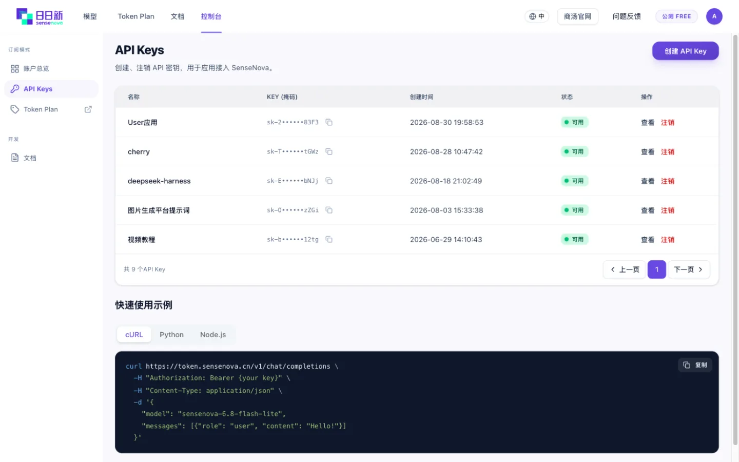 API Keys 页面底部的快速使用示例